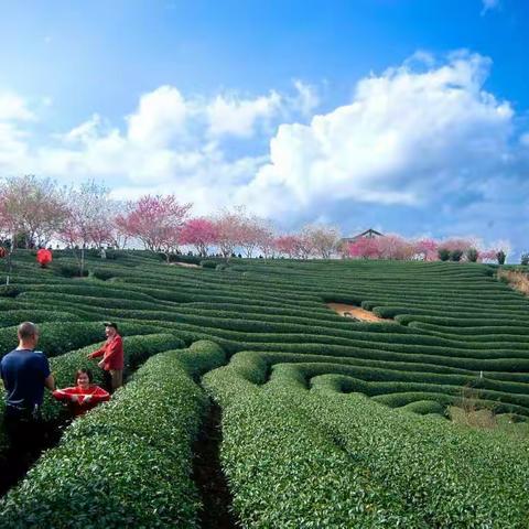 2018年，一晃就老了，唯摩旅情怀初衷未改