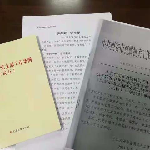 经营咨询分公司党支部组织学习《中国共产党支部工作条例（试行）》