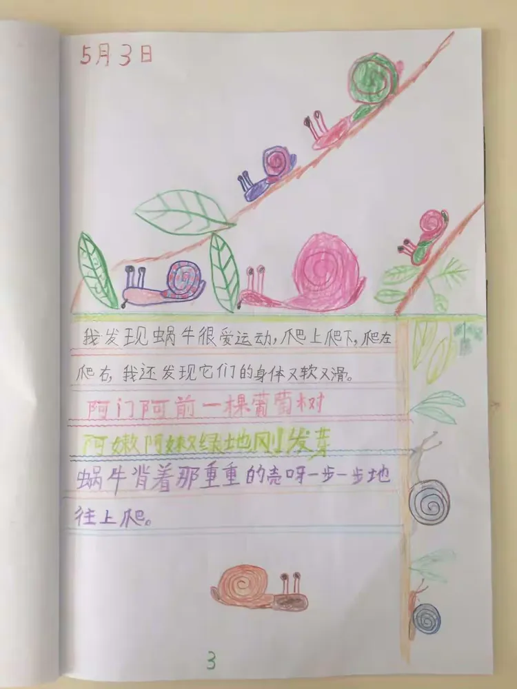 广州市天河区体育东路小学一年级学生《蜗牛观察日记》