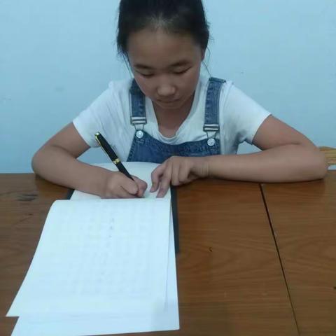 山外山美术学员--张子越18年暑假作品集