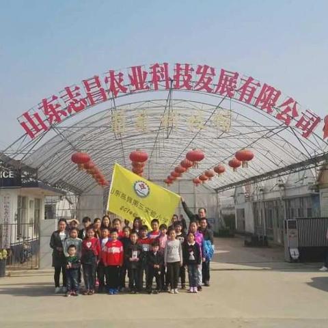 关注食品安全，保障身体健康