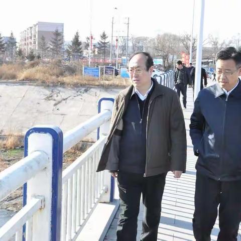 王金华副市长巡查海新河