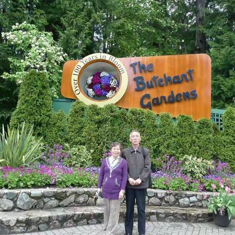 布查特花园（The Butchant Gardens）May 2017