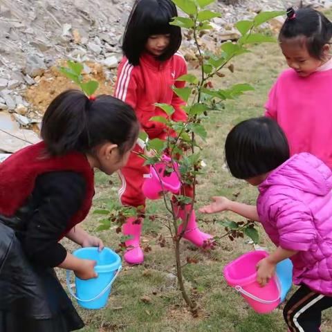 马关县幼儿园开展植树护树活动