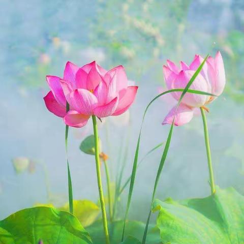 《破解考试密码 激活学习动机》——六步心理疏导课程