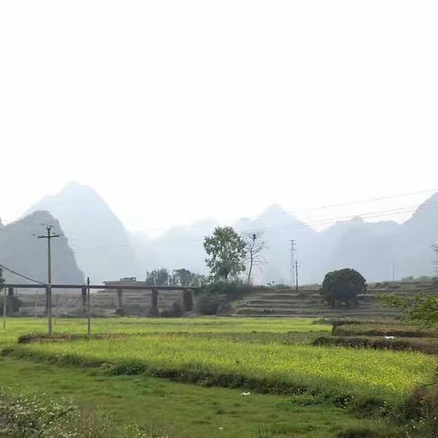 2019年清明时节， 赴大化、马山祭奠152师剿匪烈士