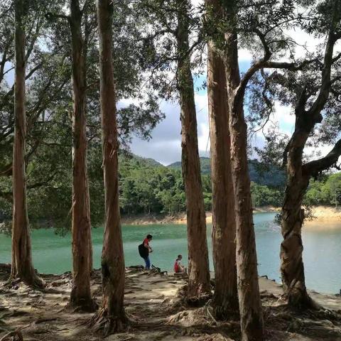 香港大城石涧淌水泡潭，避暑圣地煮茶论道