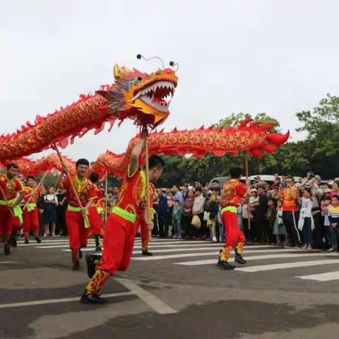 1000张门票诚邀您国庆来火山口，共赏海南龙狮争霸赛