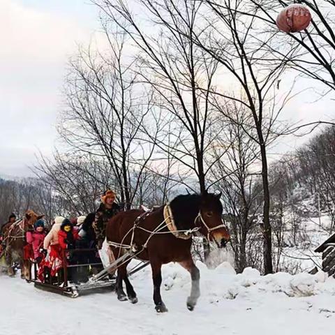 东北雪韵（一）       哈尔滨、吉林雪乡行....