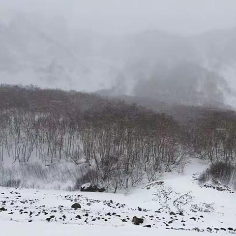 东北雪韵（四）——哈尔滨、吉林雪乡行...