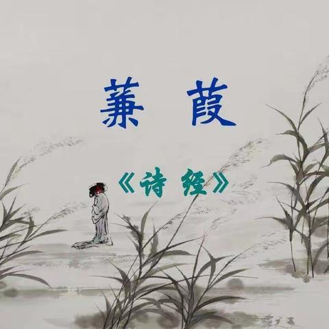 学前教育17小教5班--冯延闯