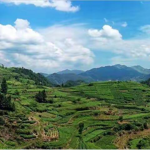 难忘故乡的小路