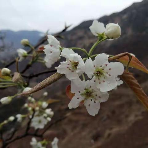 徜徉在春暖花开的时节