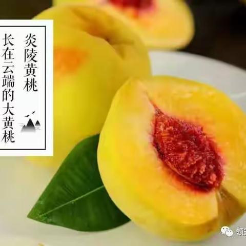 长在云端：炎陵黄桃，桃醉天下    正宗炎陵黄桃，自家种自家销，没有中间商赚差价，预订火热进行时