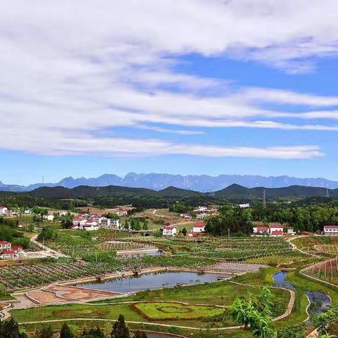 新顺河村（干河片）环境卫生督查通报【第四期】