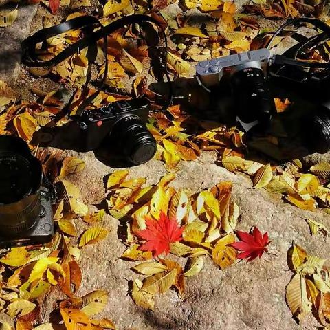 枫情画染 秋色漫山 ----行摄辽宁自驾之旅