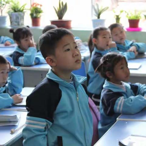 砥砺磨练，破茧成蝶——轩辕小学新教师过关课展示活动小记