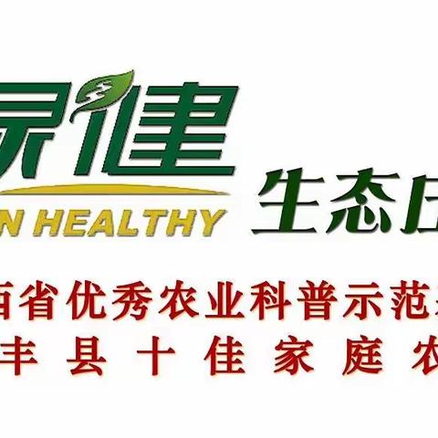 绿健生态农场邀你来当“私家菜园的城市农夫”