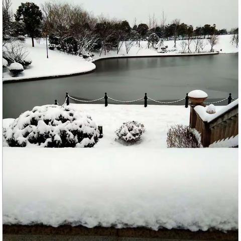 雪后家园