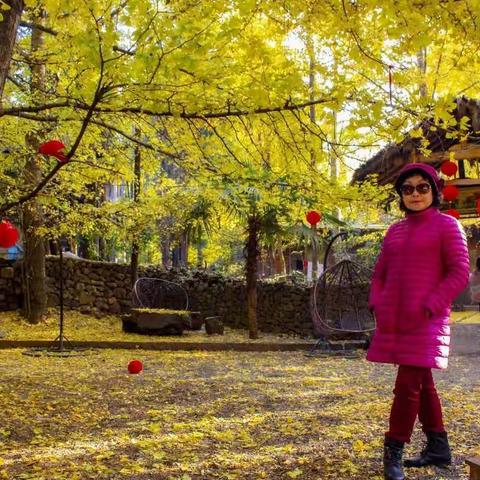 2018年11月24日  银杏村