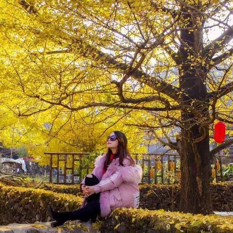 2018年11月24日  银杏村