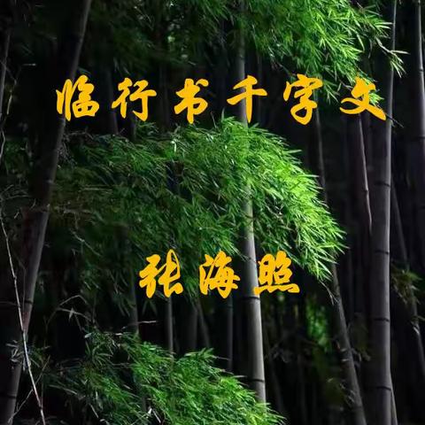 海照临习赵孟頫行书千字文