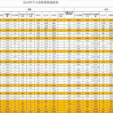 个人业务日通报表2018.12.16