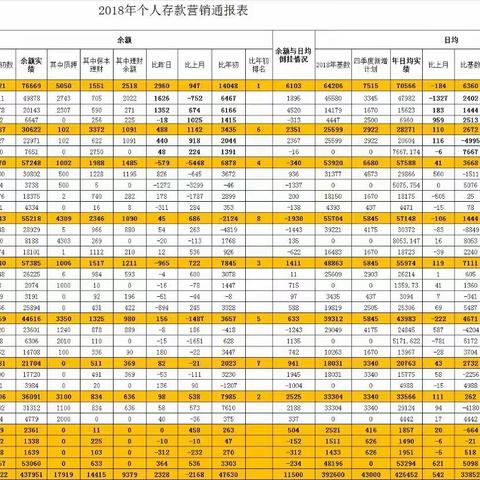 个人业务日通报表2018.12.18