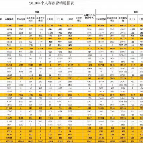 个人业务日通报表2018.12.19