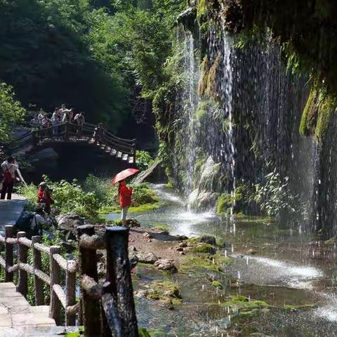 旅游养生顾问姚秀菊的美篇