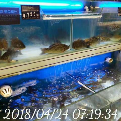 竹叶山店生鲜4.24早市检查