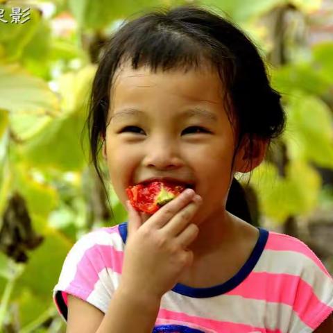 徐凤钧专辑2（我家宝贝儿回来了）