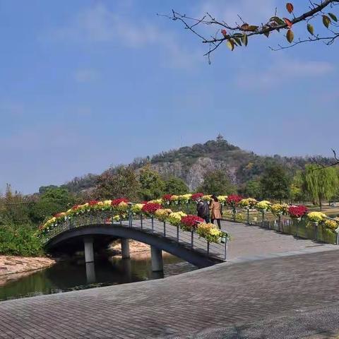 秋天的辰山植物园