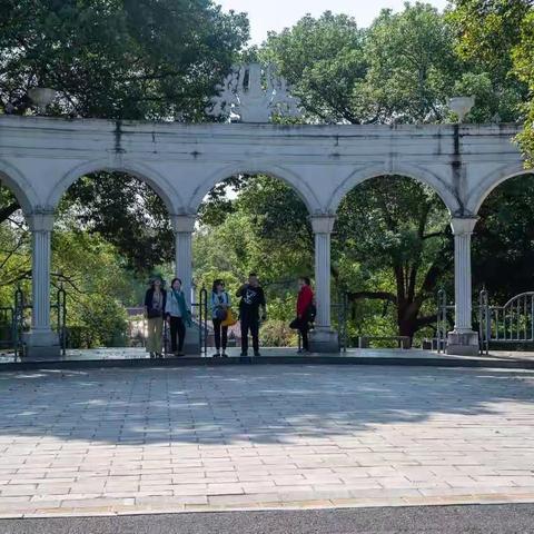 锦丽从山东归来给童鞋们带回来山东大饼。。。。。。