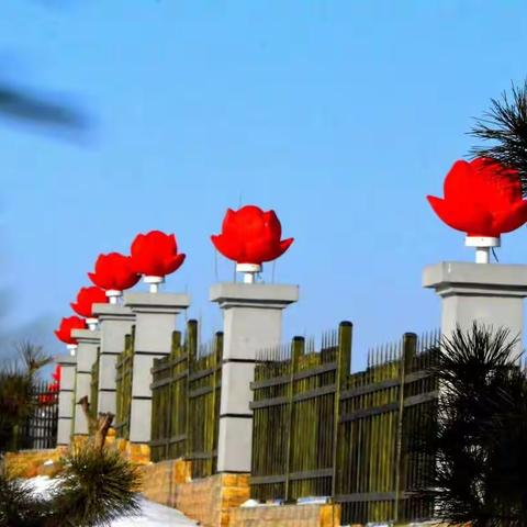 枕头山公园雪景(摘图)