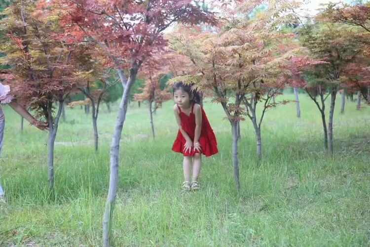 我亲爱的姑娘！