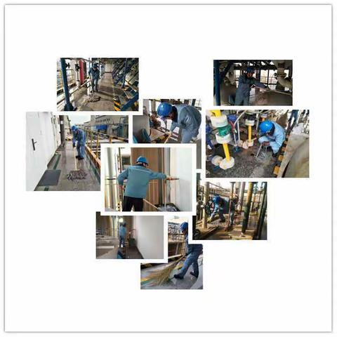 铝溶胶党员突击队吹响新年的号角