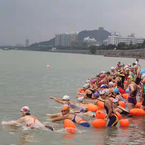 阜阳市游泳协会关于举办五公里畅游活动的通知