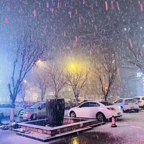 除雪，我们是认真的！