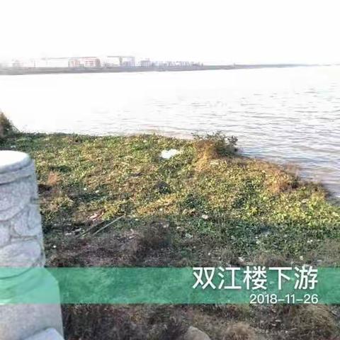 南城县开展水葫芦清理整治工作