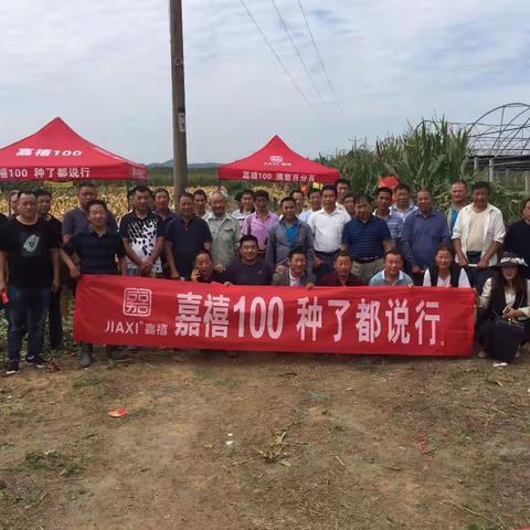 龙头大品种嘉禧100---沂南县合作伙伴田间观摩会、室内会议圆满成功召开！！！
