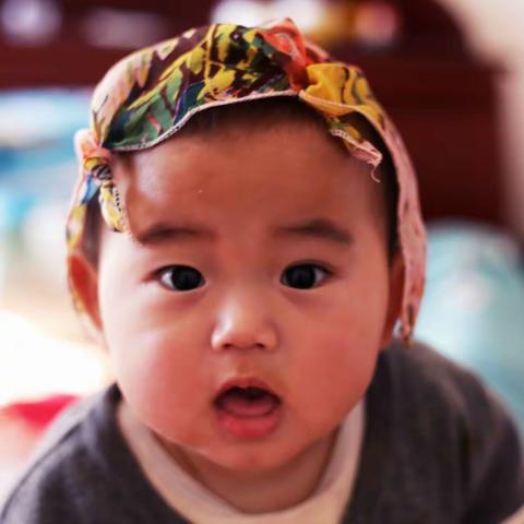 梓博100个表情包