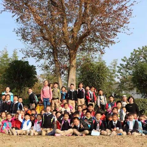“探秘自然 研学智慧” ——神龙小学湖畔校区研学活动进行曲