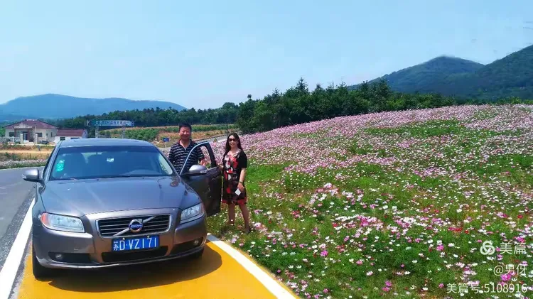 格桑花种子价格多少