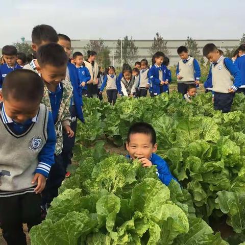 遇见最美的秋天——豪迈种植园实践活动