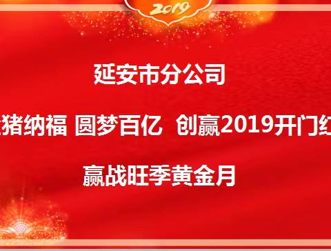 2019年1月22日，延长、延川、志丹、吴起督导动态。