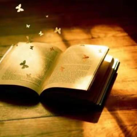 风景这边独好——现代中学东校区九年级暑期作业展