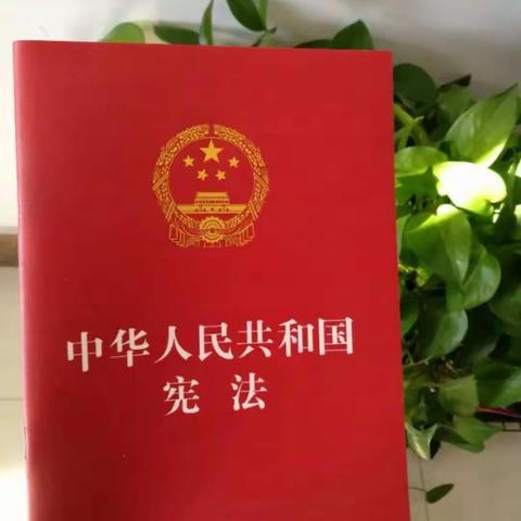 我们一起读宪法——南源学校开展宪法诵读活动