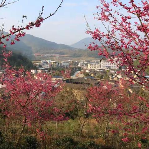 厦门之旅——第三站福建土楼（二）