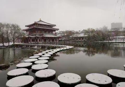 2019中国体育彩票全国业余棋王赛陕西赛区预选赛“斗鱼日月轮回888”象棋赛暨第六届雁塔杯象棋公开赛